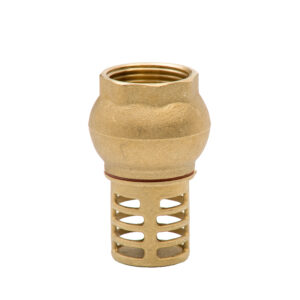 Usisna korpa mesingana 1″ V60 nepovratni ventil