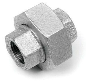 Holender pocinčani ŽŽ